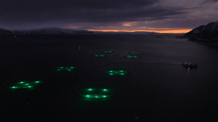 Serviceflåter hos Kime Akva, Finnmark (Aquaservice)